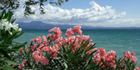 Fotografia realizzata da hankye - Lago di Garda