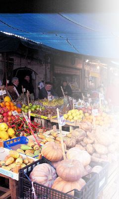 Fotografia realizzata fa Federica Marchi